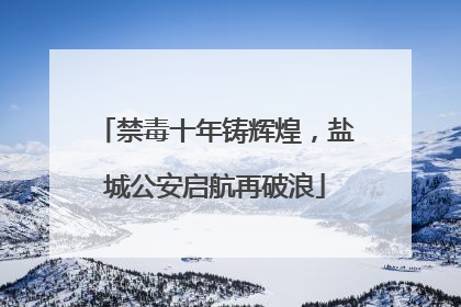 禁毒十年铸辉煌，盐城公安启航再破浪