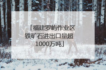 福建罗屿作业区铁矿石进出口量超1000万吨