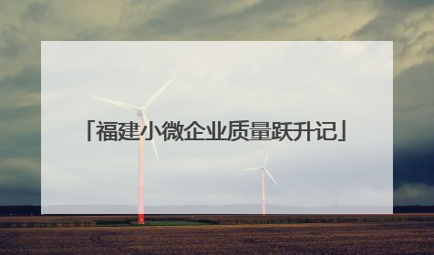 福建小微企业质量跃升记