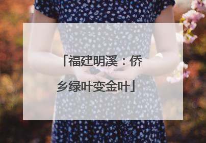 福建明溪：侨乡绿叶变金叶