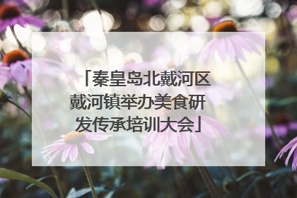 秦皇岛北戴河区戴河镇举办美食研发传承培训大会