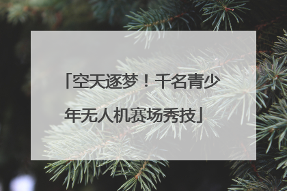空天逐梦！千名青少年无人机赛场秀技