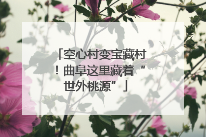 空心村变宝藏村！曲阜这里藏着“世外桃源”