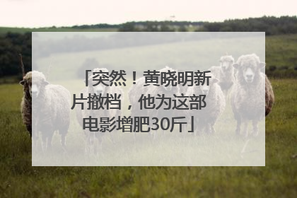 突然！黄晓明新片撤档，他为这部电影增肥30斤