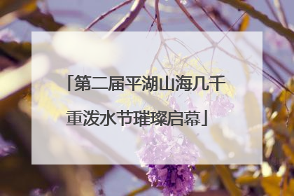 第二届平湖山海几千重泼水节璀璨启幕