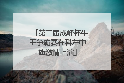 第二届成峰杯牛王争霸赛在科左中旗激情上演