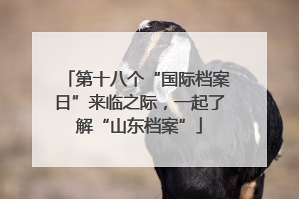 第十八个“国际档案日”来临之际，一起了解“山东档案”