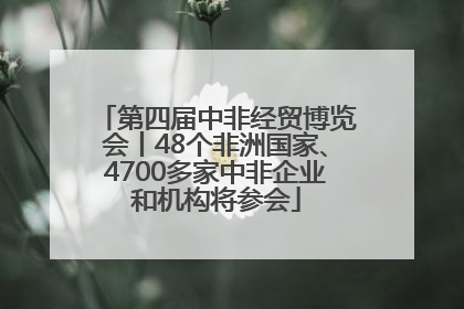 第四届中非经贸博览会丨48个非洲国家、4700多家中非企业和机构将参会
