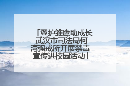 翼护雏鹰助成长 武汉市司法局何湾强戒所开展禁毒宣传进校园活动
