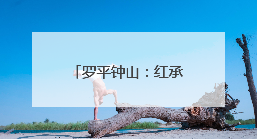罗平钟山：红承实验学校“六一”活动精彩纷呈