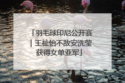羽毛球印尼公开赛｜王祉怡不敌安洗莹 获得女单亚军