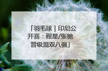 羽毛球｜印尼公开赛：程星/张驰晋级混双八强