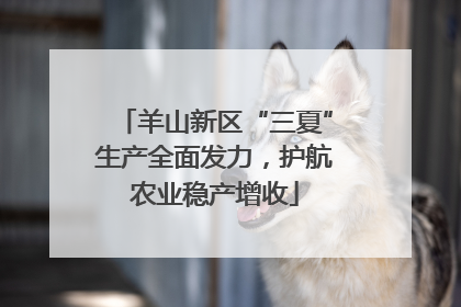 羊山新区“三夏”生产全面发力，护航农业稳产增收