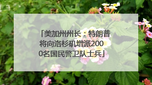 美加州州长：特朗普将向洛杉矶增派2000名国民警卫队士兵
