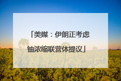 美媒：伊朗正考虑铀浓缩联营体提议