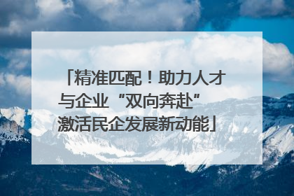 精准匹配！助力人才与企业“双向奔赴” 激活民企发展新动能