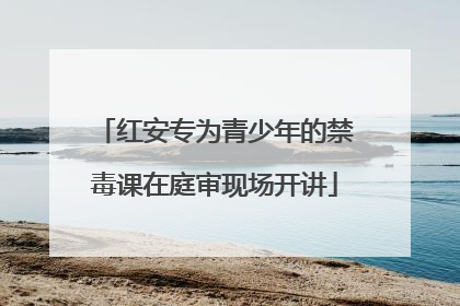红安专为青少年的禁毒课在庭审现场开讲