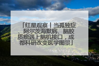 红星观察丨当孤独症、阿尔茨海默病、脑胶质瘤遇上脑机接口，成都科研改变医学图景