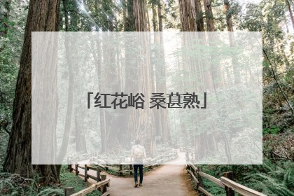 红花峪 桑葚熟