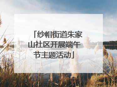 纱帽街道朱家山社区开展端午节主题活动