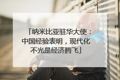 纳米比亚驻华大使：中国经验表明，现代化不光是经济腾飞