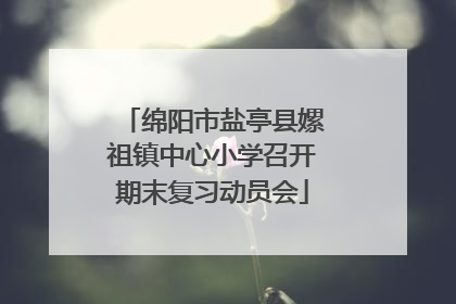 绵阳市盐亭县嫘祖镇中心小学召开期末复习动员会