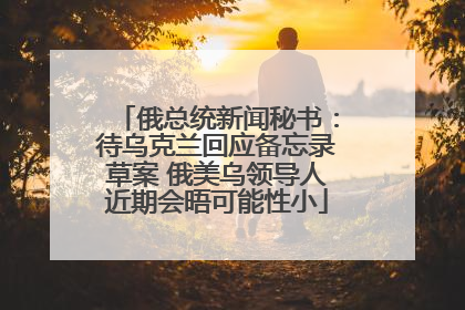 俄总统新闻秘书：待乌克兰回应备忘录草案 俄美乌领导人近期会晤可能性小
