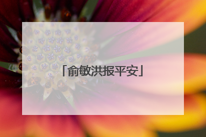 俞敏洪报平安