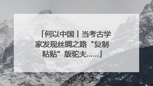 何以中国丨当考古学家发现丝绸之路“复制粘贴”版驼夫……