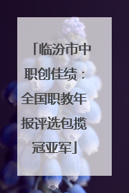 临汾市中职创佳绩：全国职教年报评选包揽冠亚军