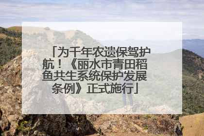 为千年农遗保驾护航！《丽水市青田稻鱼共生系统保护发展条例》正式施行