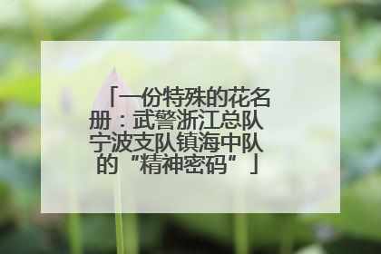 一份特殊的花名册：武警浙江总队宁波支队镇海中队的“精神密码”