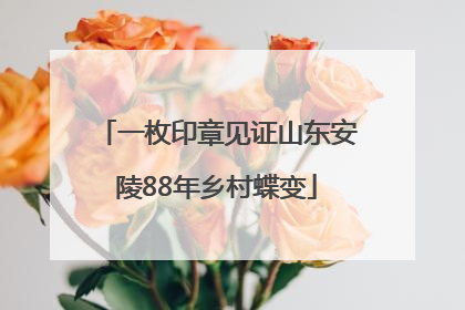 一枚印章见证山东安陵88年乡村蝶变