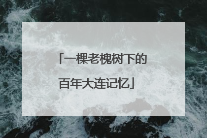 一棵老槐树下的百年大连记忆