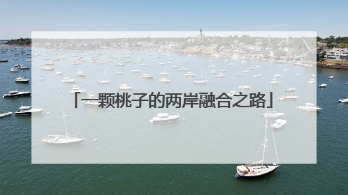 一颗桃子的两岸融合之路