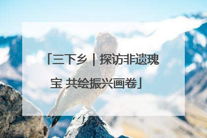 三下乡｜探访非遗瑰宝 共绘振兴画卷