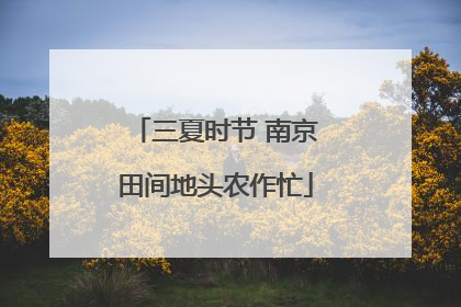 三夏时节 南京田间地头农作忙