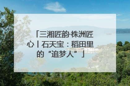 三湘匠韵·株洲匠心丨石天宝：稻田里的“追梦人”