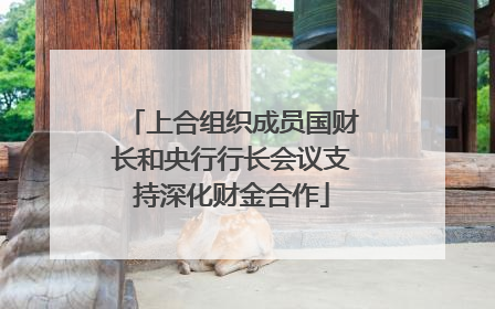 上合组织成员国财长和央行行长会议支持深化财金合作