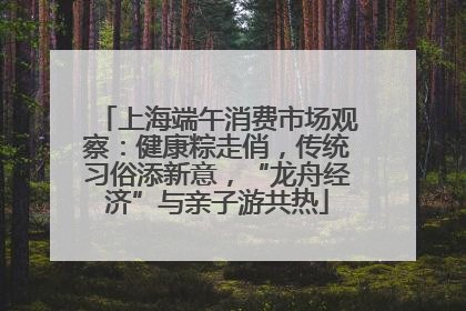 上海端午消费市场观察：健康粽走俏，传统习俗添新意，“龙舟经济”与亲子游共热
