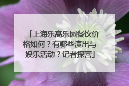 上海乐高乐园餐饮价格如何？有哪些演出与娱乐活动？记者探营