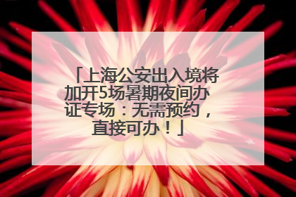 上海公安出入境将加开5场暑期夜间办证专场：无需预约，直接可办！