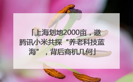 上海划地2000亩，邀腾讯小米共探“养老科技蓝海”，背后商机几何