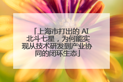 上海市打出的 AI 北斗七星，为何能实现从技术研发到产业协同的闭环生态