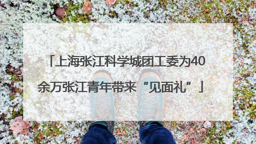 上海张江科学城团工委为40余万张江青年带来“见面礼”