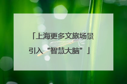 上海更多文旅场景引入“智慧大脑”
