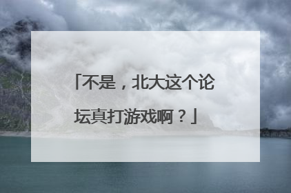不是，北大这个论坛真打游戏啊？