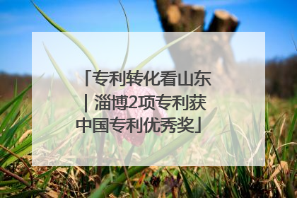 专利转化看山东｜淄博2项专利获中国专利优秀奖