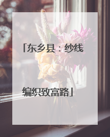 东乡县：纱线编织致富路