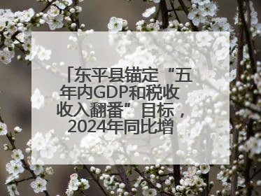 东平县锚定“五年内GDP和税收收入翻番”目标，2024年同比增长5.8%